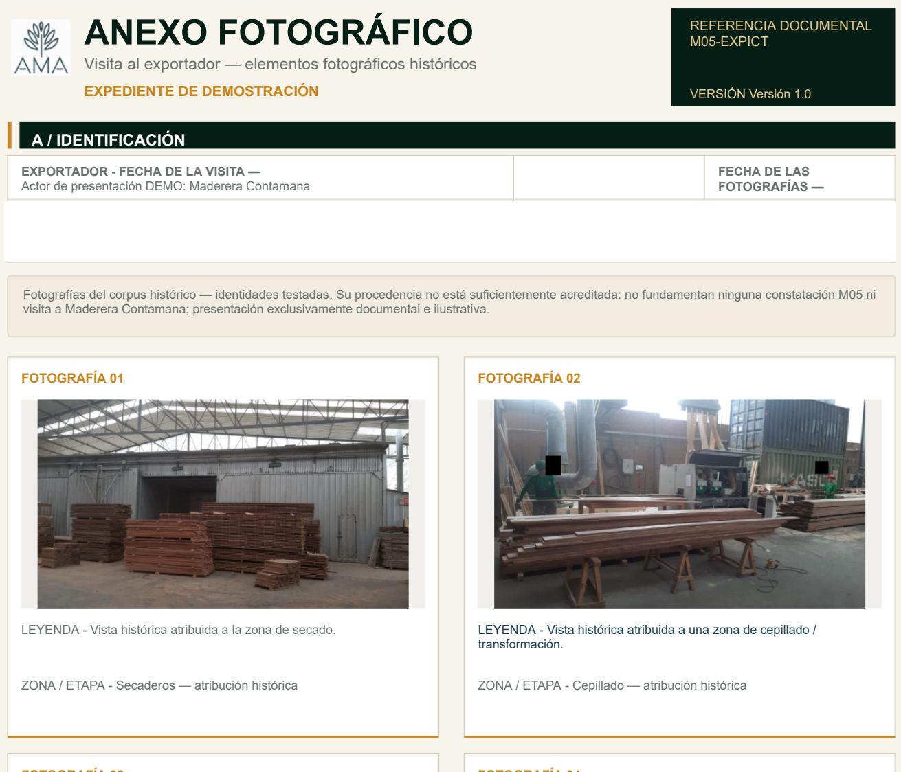 Anexo fotográfico